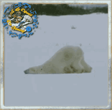 Motivé Feignant GIF - Motivé Feignant Polar Bear GIFs