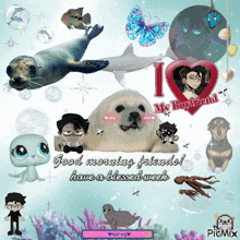a collage of animals with the words good morning friends have a blessed week on the bottom
