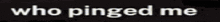 a black background with the words who pinged me on it