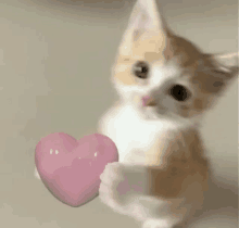 a small kitten is holding a pink heart in its paw .