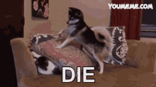 Die Dogs GIF - Die Dogs Dog GIFs