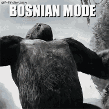 Bosnianmode Bosnian GIF - Bosnianmode Bosnian Jits GIFs