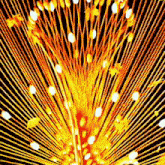 a close up of a fireworks display on a dark background