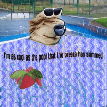 Pubert Im As Cool As The Pool That The Breeze Has Skimmed GIF