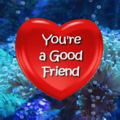 you are a good friend
