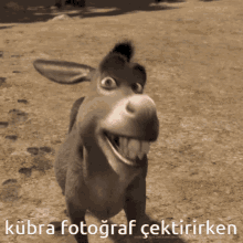 Kübra Kaşar GIF - Kübra Kaşar Eşşek GIFs