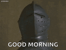 a dog wearing a knight 's helmet says `` good morning '' .
