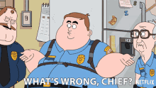 Whats Wrong Chief Dusty Marlow GIF - Whats Wrong Chief Dusty Marlow Paradise Pd GIFs