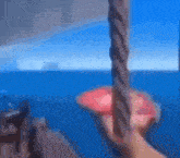 a person is holding a rope with a red object on it overlooking the ocean .