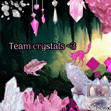 a frog and a cat are surrounded by crystals and the words team crystals < 3