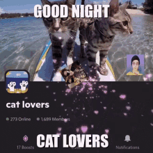 Cat Lovers Good Night Cat Lovers GIF - Cat Lovers Good Night Cat Lovers GIFs