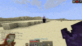 a screenshot of a video game called minecraft with a purple item in the middle