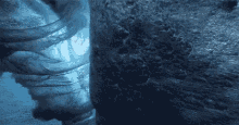 a person is holding a bottle of water in their hand in a dark room .