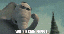 Horton Hears A Who Woo Brain Freeze GIF - Horton Hears A Who Woo Brain Freeze Horton GIFs