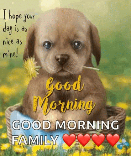 Good Morning GIF - Good Morning Puppy - Discover & Share GIFs