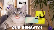 Que Sensato Mtv Brasil GIF - Que Sensato Mtv Brasil Sensato GIFs