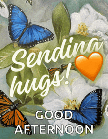 a sending hugs good afternoon card with butterflies and flowers