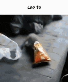 Cee To Cat GIF - Cee To Cat Cheetos GIFs