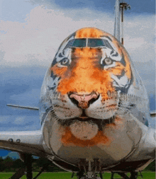 Tiger Reaction GIF - Tiger Reaction Plane GIFs