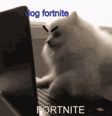 Dog Fortnite GIF - Dog Fortnite GIFs