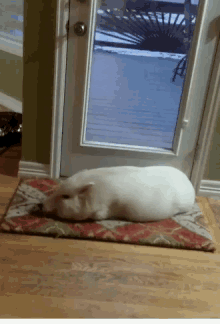 Pig Relax GIF - Pig Relax Sleeping GIFs