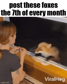 a woman is looking out a window at a fox that is looking out the window .