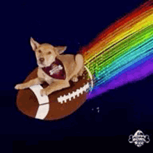 Rainbow Dog GIF - Rainbow Dog Football GIFs