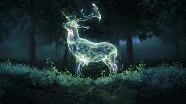 Forest GIF on GIFER - by Dothris