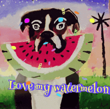 Lovemywatermelon Lovemydog GIF - Lovemywatermelon Lovemydog Watermelon GIFs