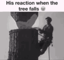 you will not believe his reaction when the tree falls