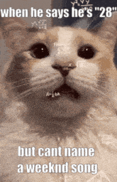 a cat with mathematical equations on its face says when he says he 's 28 but cant name a weeknd song