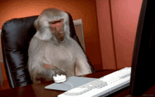 Monkey Business Annoyed GIF