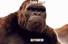 Tiaan King Kong GIF