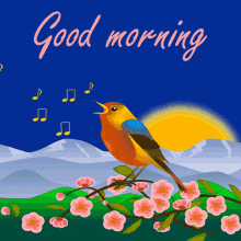 good morning nature song