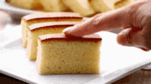 Sponge Cake Cake GIF - Sponge Cake Cake National Sponge Cake Day GIFs