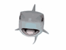 Shark Shaking GIF - Shark Shaking GIFs